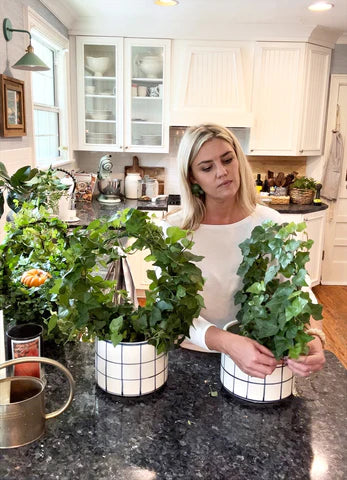 Ivy and Snack Boards