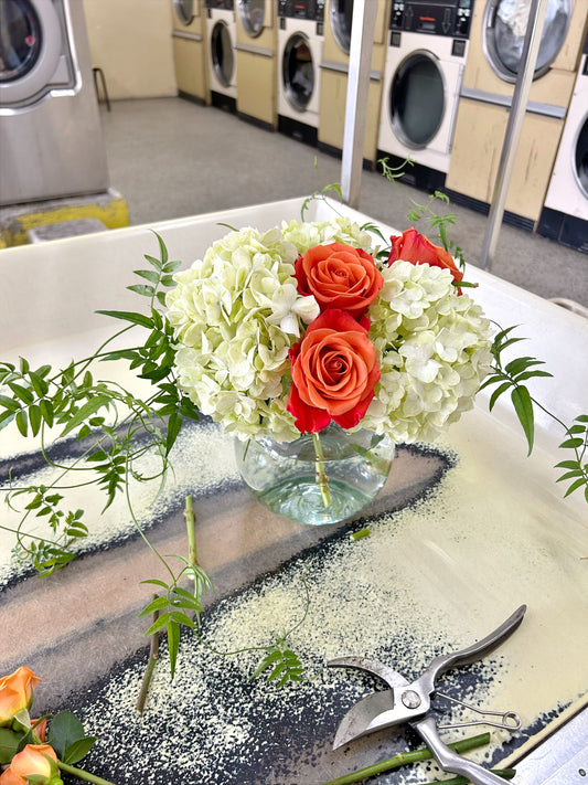 Lessons from the Laundromat